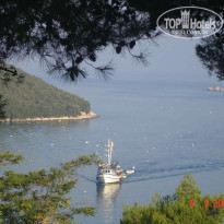 фото из отзыва ID 32851