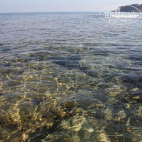 фото из отзыва ID 328052