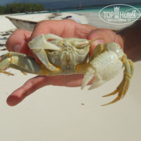 фото из отзыва ID 328506