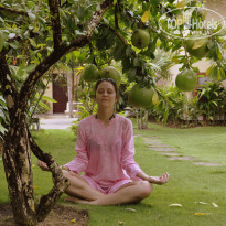 фото из отзыва ID 328866