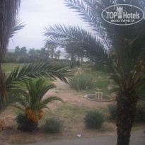 фото из отзыва ID 330225