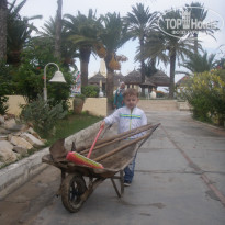 фото из отзыва ID 330225