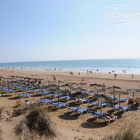 фото из отзыва ID 330537