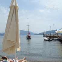 фото из отзыва ID 331053