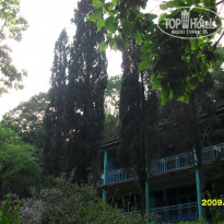 фото из отзыва ID 331756