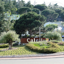 фото из отзыва ID 332031