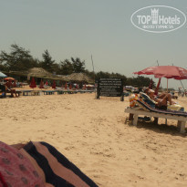 фото из отзыва ID 332943