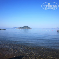 фото из отзыва ID 333032