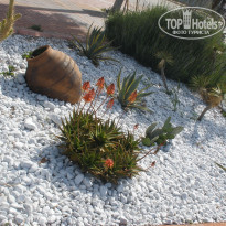 фото из отзыва ID 333117