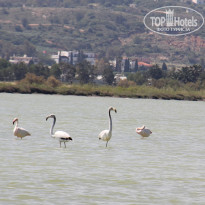 фото из отзыва ID 333846