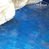 фото из отзыва ID 334004