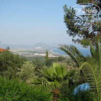 фото из отзыва ID 334825