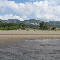 фото из отзыва ID 334825