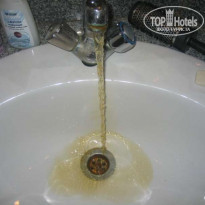 фото из отзыва ID 33575