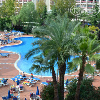 фото из отзыва ID 335396