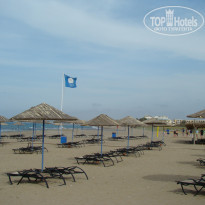 фото из отзыва ID 335304