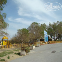 фото из отзыва ID 335304