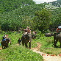 фото из отзыва ID 336084