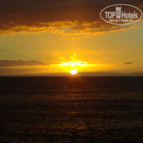 фото из отзыва ID 336376