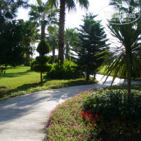 фото из отзыва ID 337038