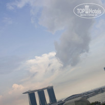 фото из отзыва ID 337198