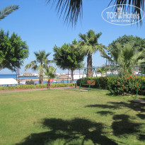 фото из отзыва ID 337914