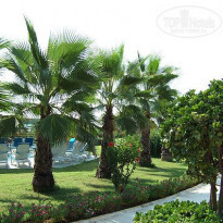 фото из отзыва ID 337285