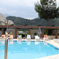 фото из отзыва ID 338295