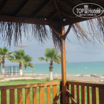 фото из отзыва ID 338382