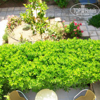 фото из отзыва ID 338747