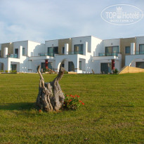 фото из отзыва ID 339343