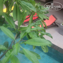 фото из отзыва ID 339384