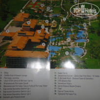 фото из отзыва ID 339906