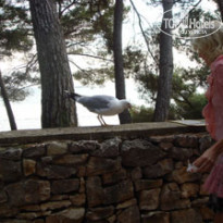 фото из отзыва ID 34087