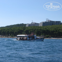 фото из отзыва ID 340070