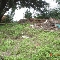 фото из отзыва ID 340095