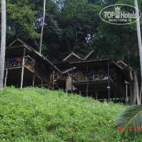 фото из отзыва ID 340095