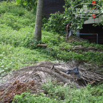 фото из отзыва ID 340095