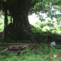 фото из отзыва ID 340095