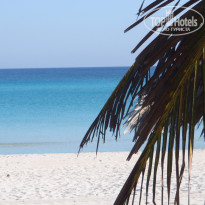 фото из отзыва ID 340674