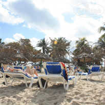 фото из отзыва ID 341005