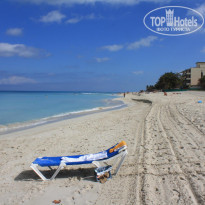 фото из отзыва ID 341005