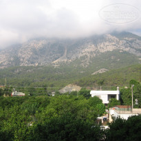 фото из отзыва ID 341067