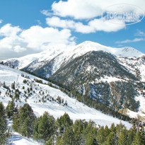 фото из отзыва ID 341108