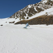 фото из отзыва ID 341108