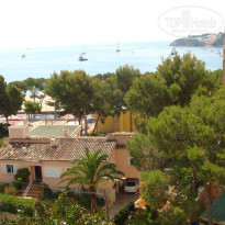 фото из отзыва ID 341118