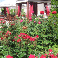 фото из отзыва ID 341432