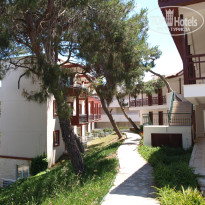 фото из отзыва ID 341471