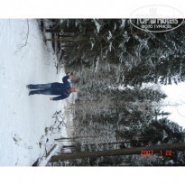 фото из отзыва ID 34254