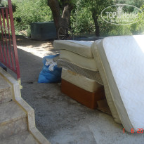 фото из отзыва ID 342251